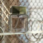 عطر ایفوریا مردانه